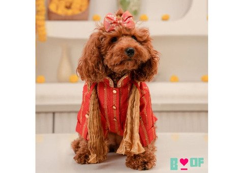 Shop Exclusive Dog Clothes Collection Online Today.