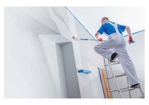 Professional Painters Enhancing Homes in Colts Neck NJ