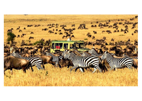 Explore Mombasa Safari Packages