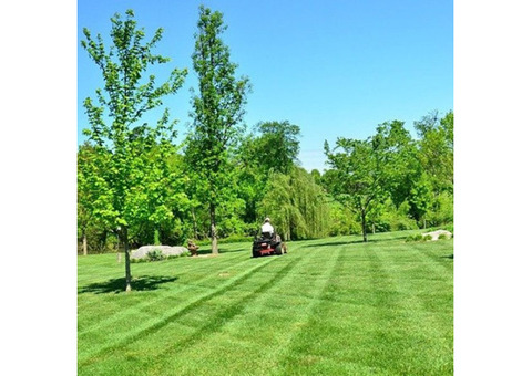 Expert Lawn Management Services – With Cut and Trim