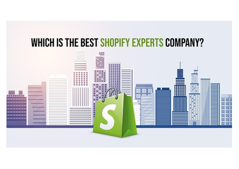 Which is the best Shopify Experts Company?