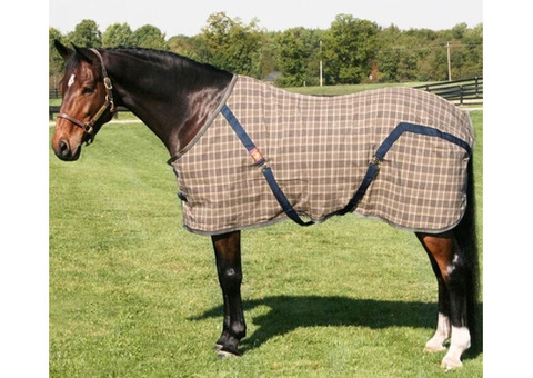 Curvon Baker Horse Wear – Available at Vision Saddlery