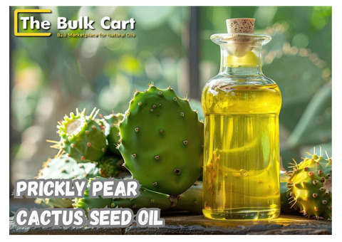 Wholesale Prickly Pear Cactus Seed Oil – Trusted Bulk Supplier