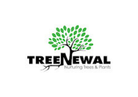 TreeNewal, Certified Arborist