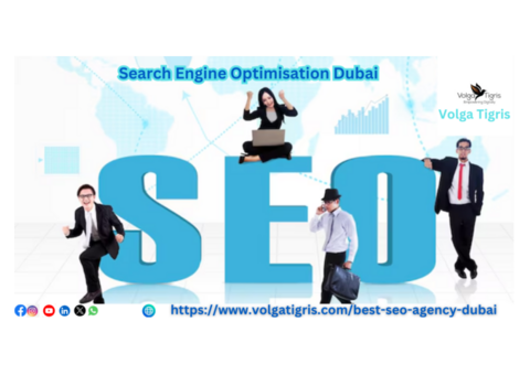 Get Seen Online with the Best SEO Company in Dubai – Volga Tigris