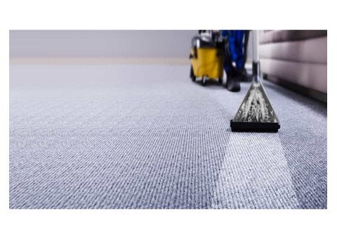 Professional Carpet Cleaning Services in Brooklyn