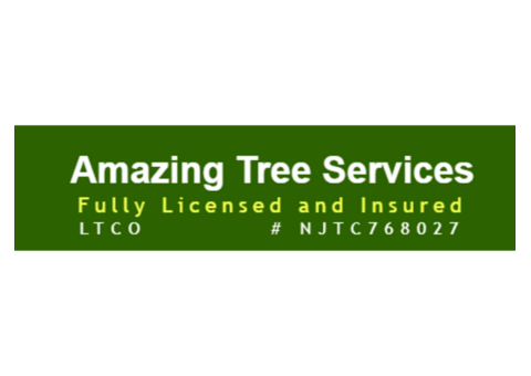 Free Tree Removal Estimates in NJ – Amazing Tree Services