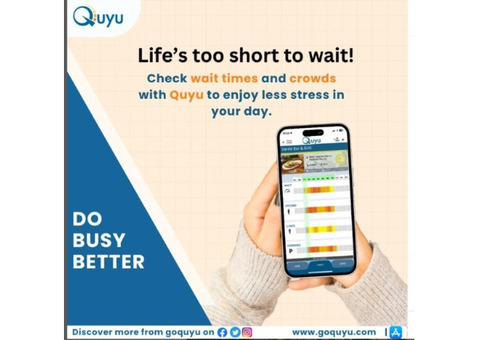 Real-Time Crowd Tracking Made Easy with Quyu