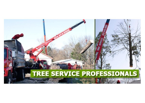 Cutting Trees Down Cost