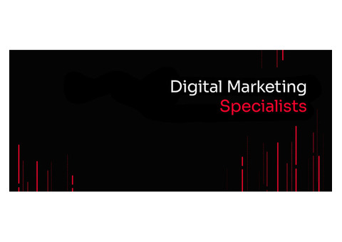 Digital Marketing Services - Image Traders