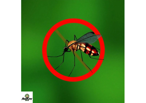 Reclaim Your Yard! Detroit’s Best Mosquito Control Service