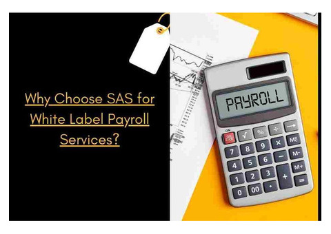 Why Choose SAS for White Label Payroll Services?