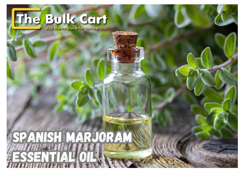 Wholesale Spanish Marjoram Essential Oil Supplier – The Bulk Cart