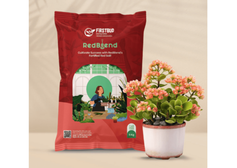 Best Soil for a Vegetable Garden – FirstBud’s Premium Soil Blends