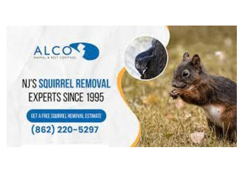 Rodent Control in NJ