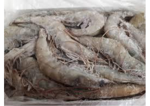 buy fresh seafood online worldwide