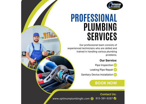 Trusted Tampa Bay Plumbers for Quality Service