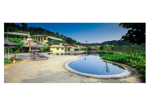 Immerse in Nature: Best Resorts in Coorg's Natural Splendor