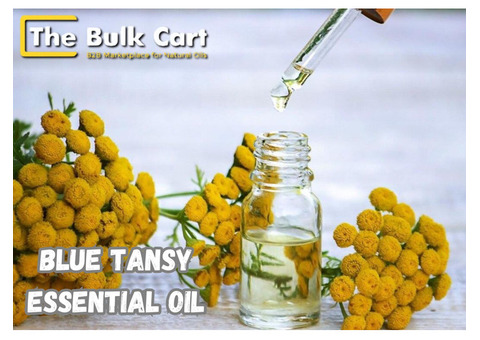 Wholesale Blue Tansy Essential Oil Supplier – Order Now