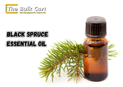 Wholesale Black Spruce Essential Oil Supplier – Order Today