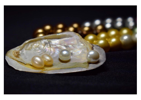 buy pearl gemstone online in gujarat