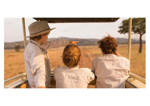 Family Safari Packages: Explore Wildlife Adventures