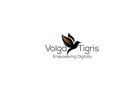 Top Dubai SEO Agency – Volga Tigris