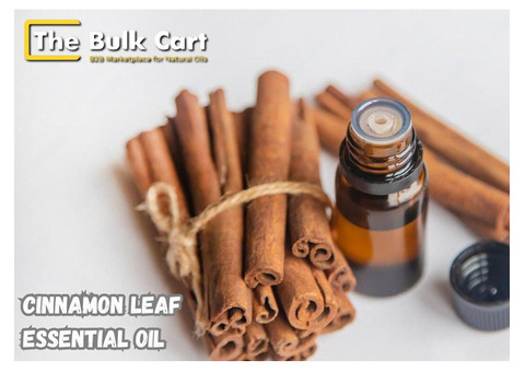 Wholesale Cinnamon Leaf Essential Oil Supplier – Order Now