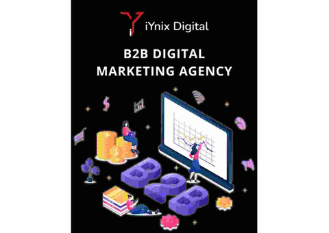 Iynix Digital - Your B2B Digital Marketing Agency