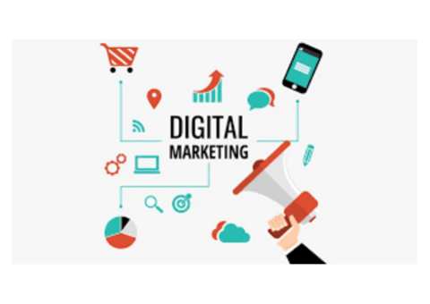 Invoidea is Leading Best Digital Marketing Agency in Delhi