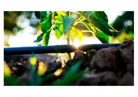 Affordable & Durable Drippers for Drip Irrigation | Madhya Pradesh