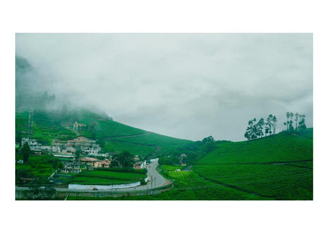 Ooty Guide - Explore the Best of the Nilgiris