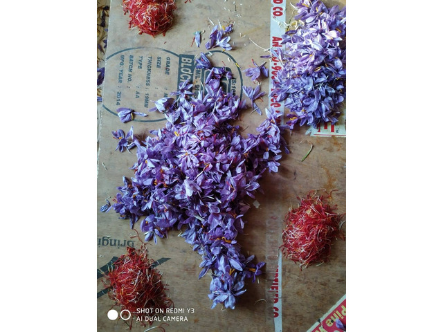 SAFFRON USES SAFFRON USES