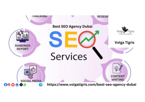 Get Noticed Online with Expert SEO in Dubai