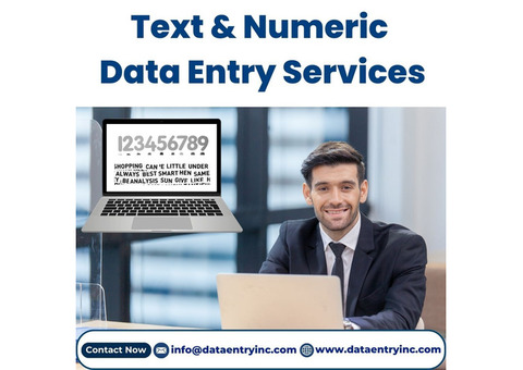 Best Text and Numeric Data Entry Services in India