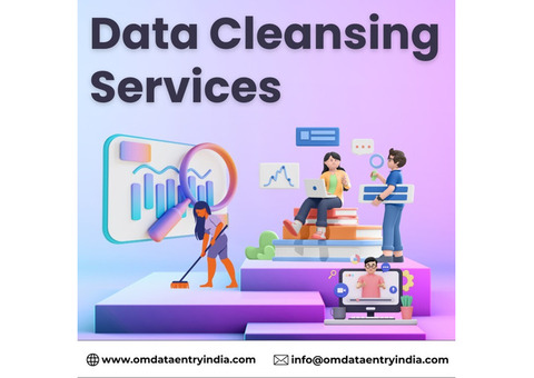 Get High-Quality Data Cleaning Services at Just $4/hour