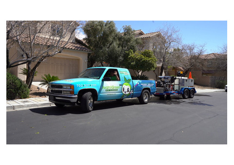 Premium Carpet Cleaning in Summerlin