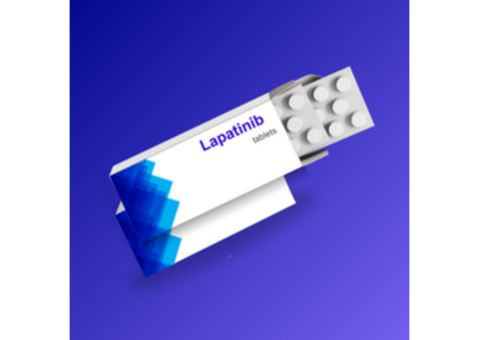 Buy Lapatinib 250 MG at the Lowest Price from India