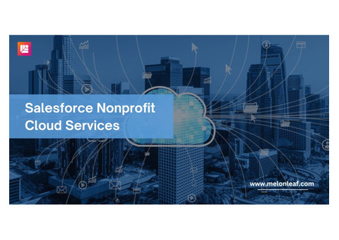 Empower your Business with Salesforce Nonprofit Cloud Services