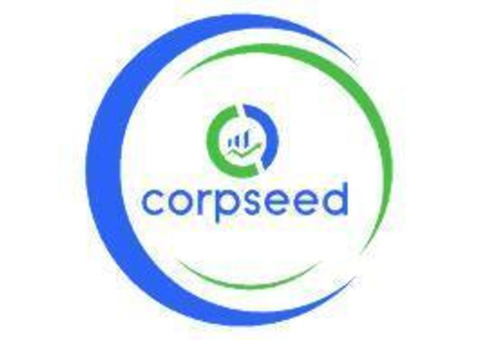 Start a Battery Recycling Plant – Expert Setup with Corpseed