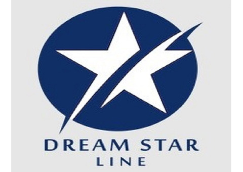 Dream Star Line: Matka Online Play Results, Charts, and App Updates