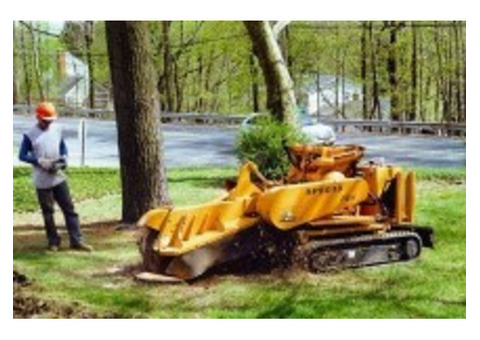 Professional Commercial Tree Service in NJ