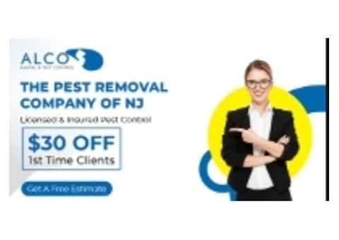 Professional Flying Squirrel Removal Services in NJ