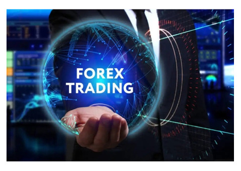 Forex Trading in India with Tradex