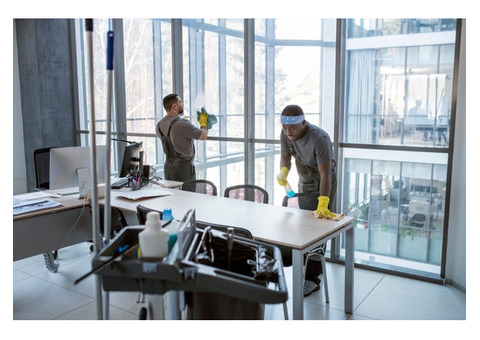 Top House Cleaning Services in Reading You Can Trust Today