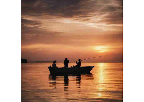 Navigating the Legal Waters
