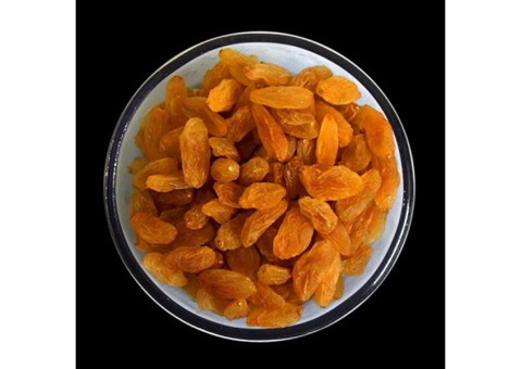 Purchase Fresh Almonds Online from Sargam Globals Enjoy