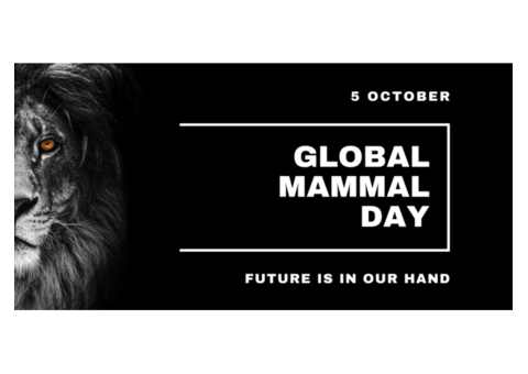Global Mammal Day 2025 | Unite for Mammal Conservation