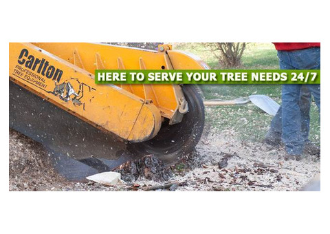 Professional Stump Grinding NJ