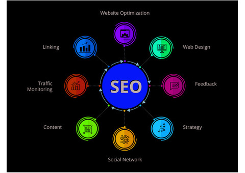 Top SEO Experts in Bangalore